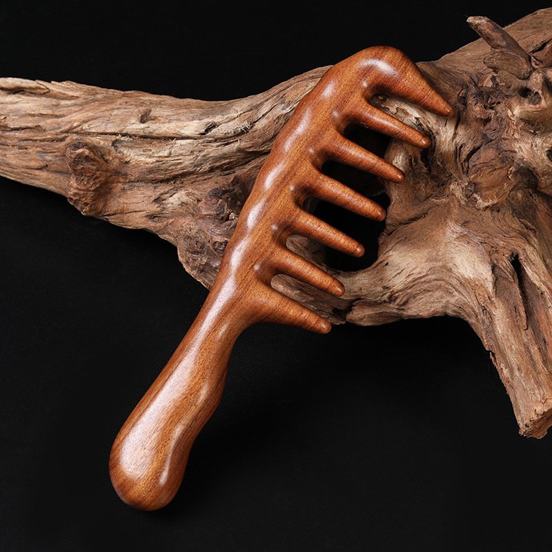 Hair Care Gift - Peignes à cheveux en bois de